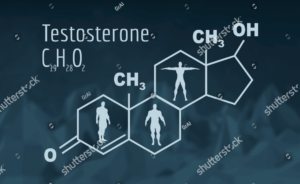 Testosterona. Reposição e infertilidade